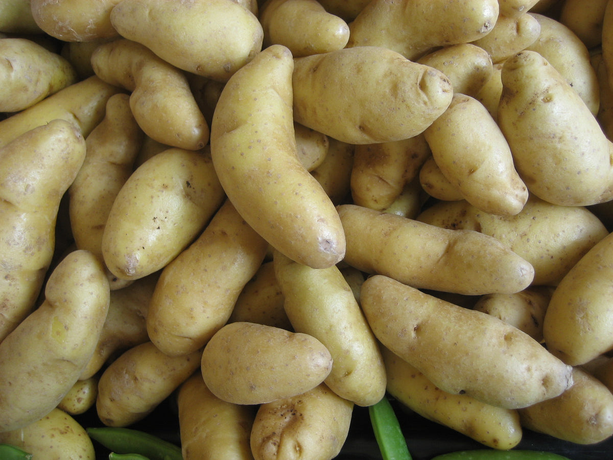 Fingerling Potatoes