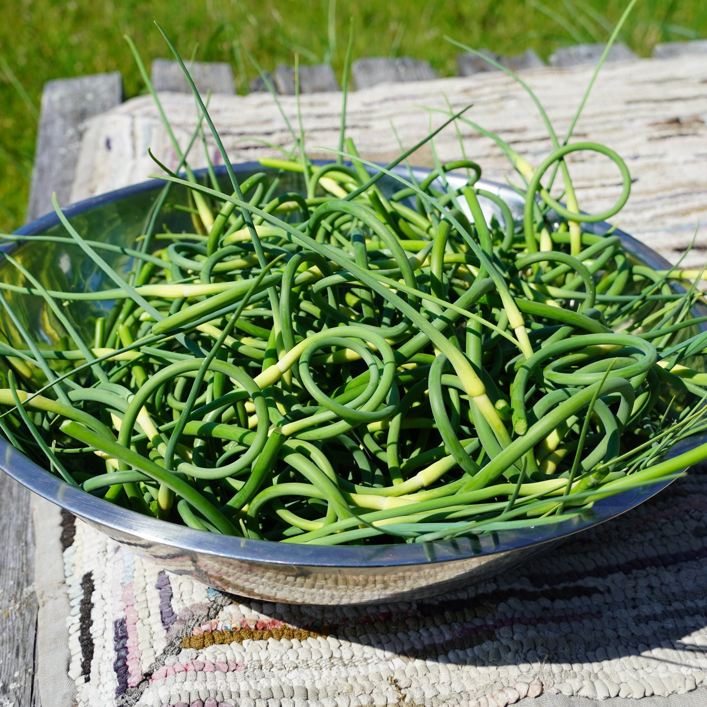 Garlic Scapes