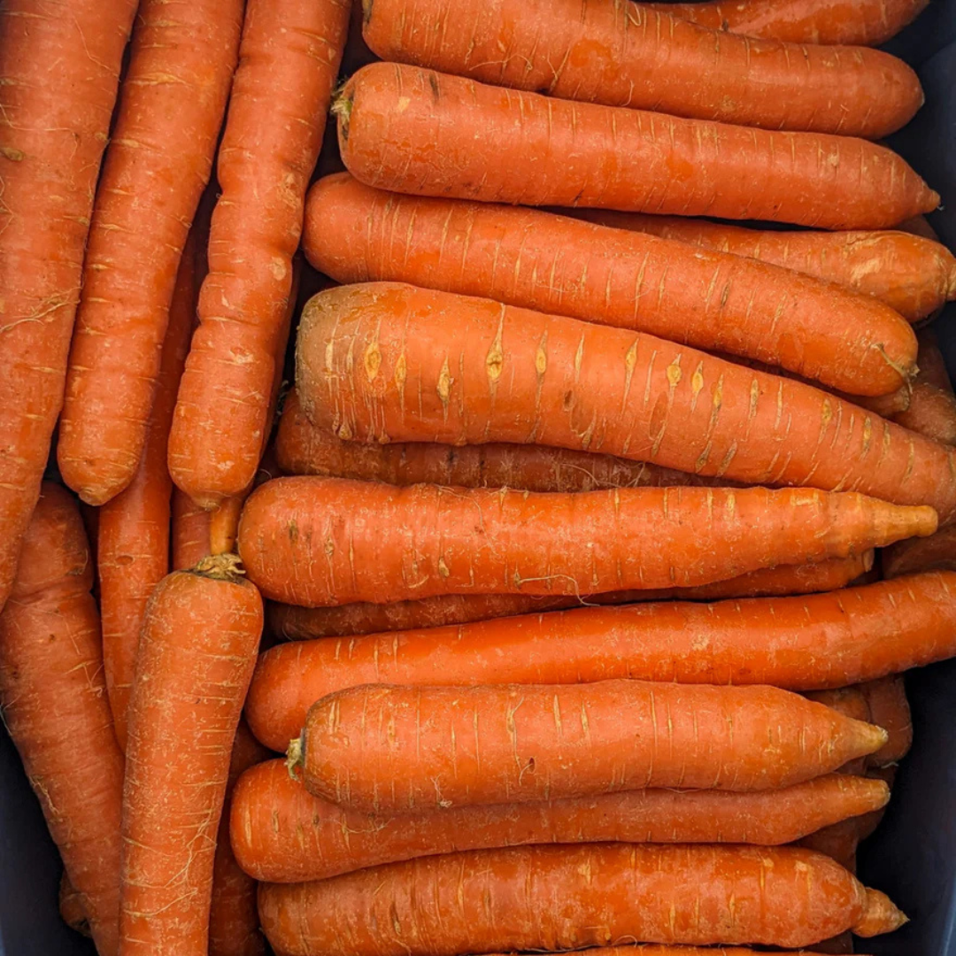 Carrots (Storage)