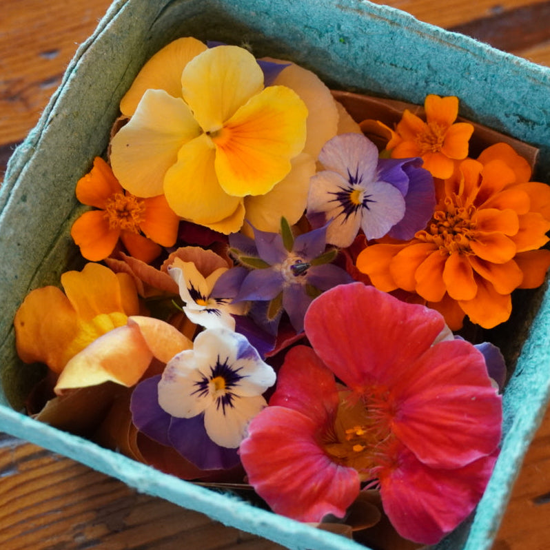 Edible Flowers