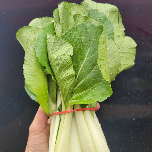 Bok Choy