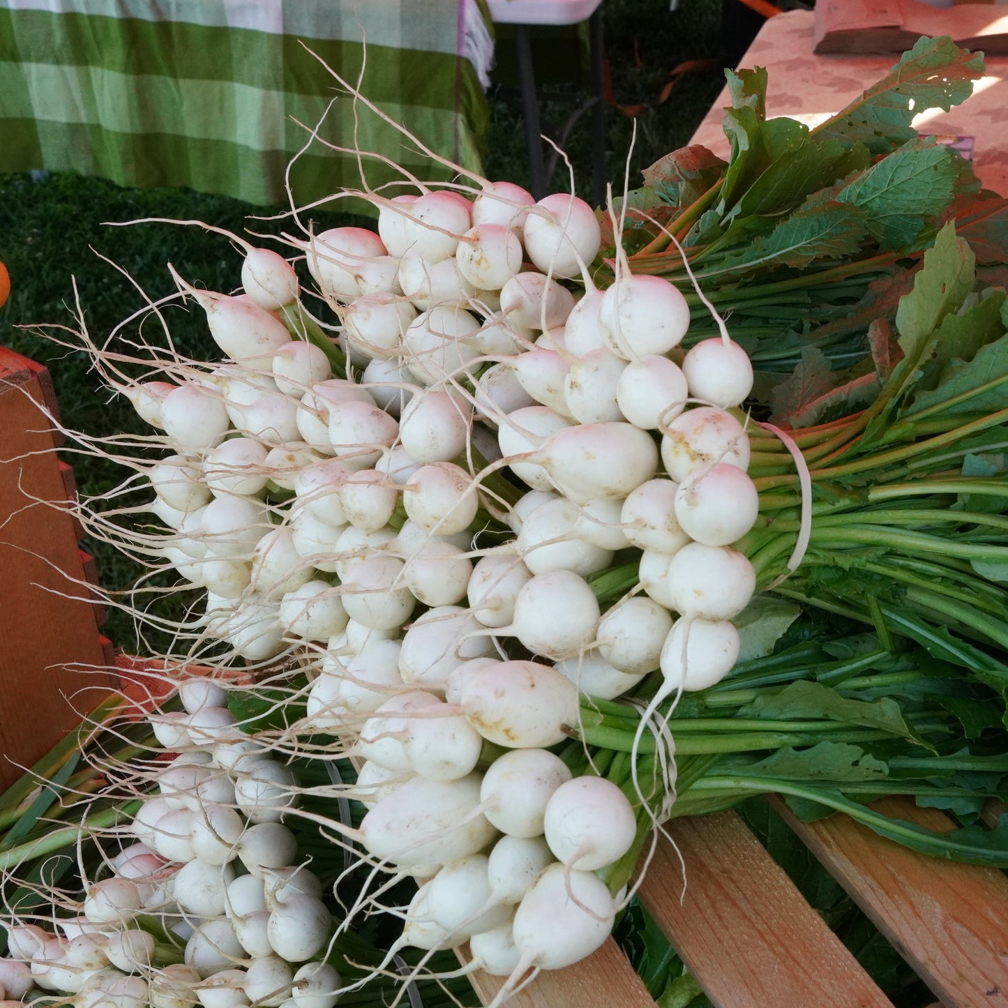 Hakurei Turnips