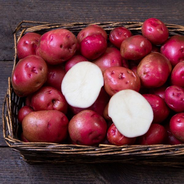 Norland Potatoes