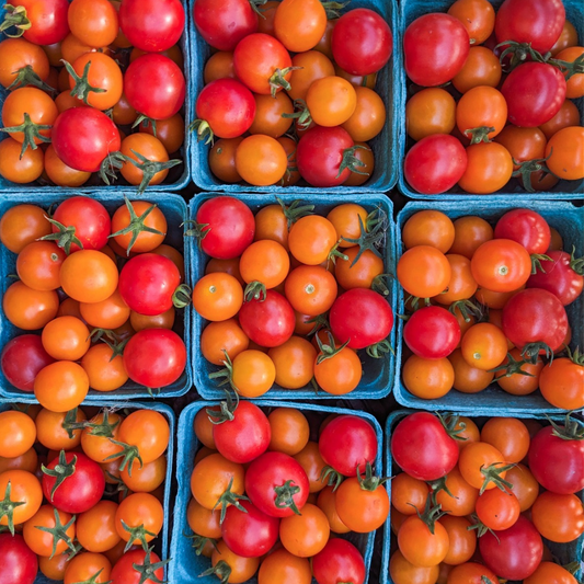 Cherry Tomatoes