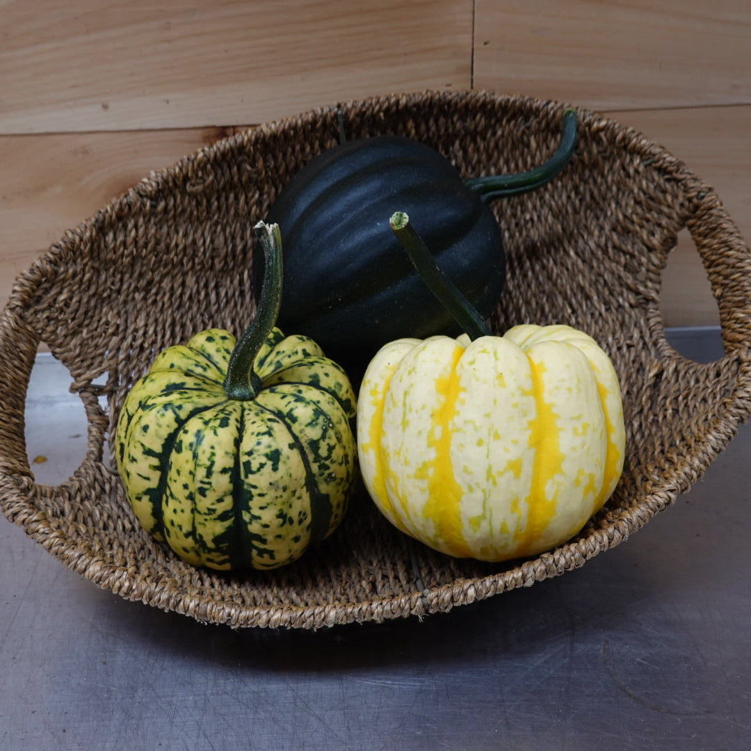 Honey Bun Acorn Squash