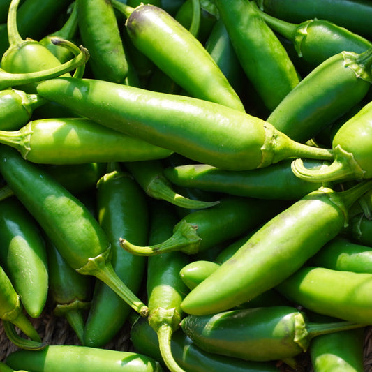 Hot Peppers (Jalapeno)