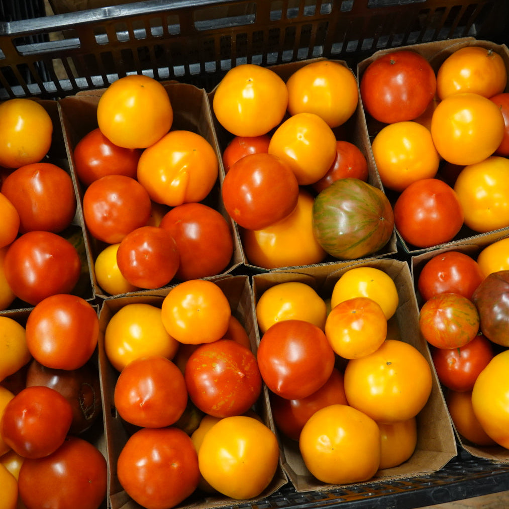 Heirloom Tomatoes