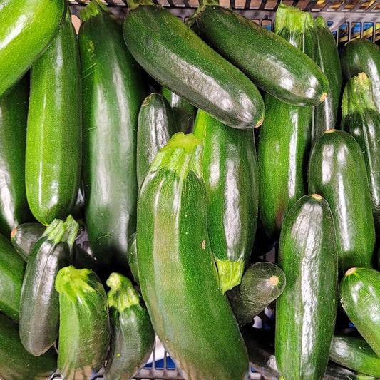 Green Zucchini