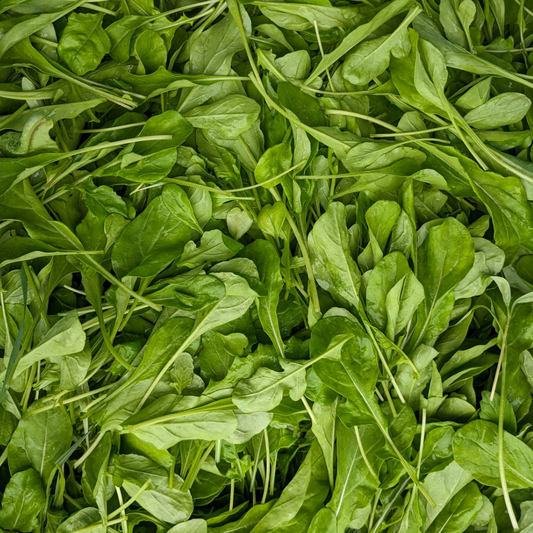 Arugula